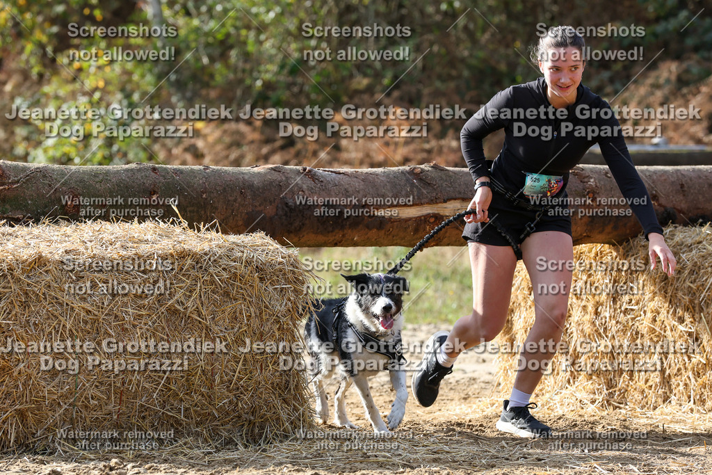 Dog Paparazzi - Strongdog 10-25-5859 | Dog Paparazzi Jeanette Grottendiek Fotografie & Videografie - Realisiert mit Pictrs.com