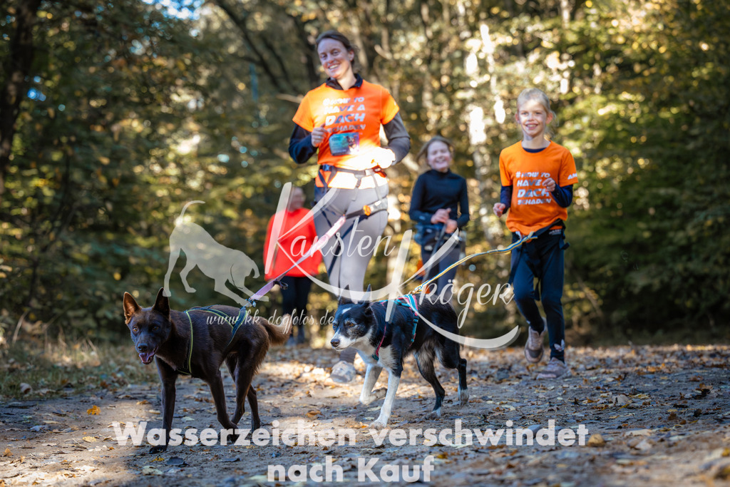 1022_ZZ99777 | kk-dogfotos