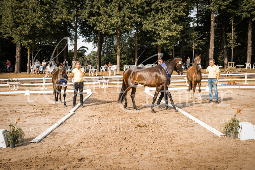 FrER00292 | Leoni Ertmer Photography - Realisiert mit Pictrs.com