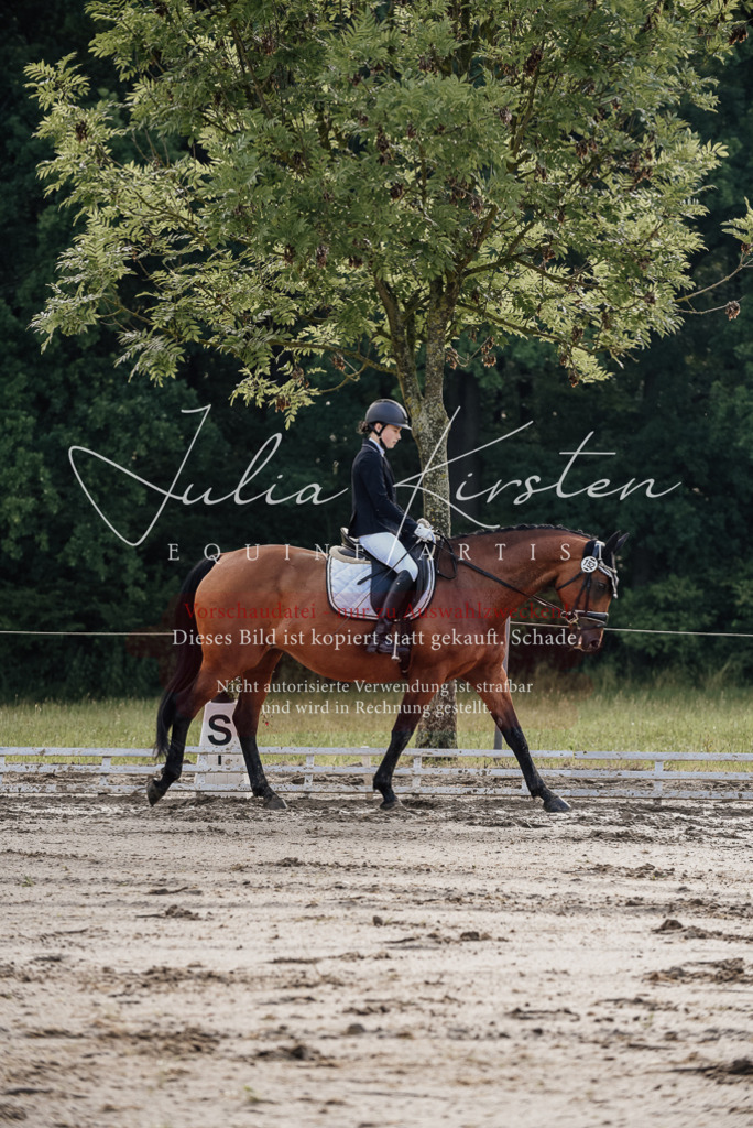 DSC_8082 | Pferde- und Turnierfotografie in Westsachsen. Pferdeportraits, Auftragszeichnungen und intuitive Kunst.