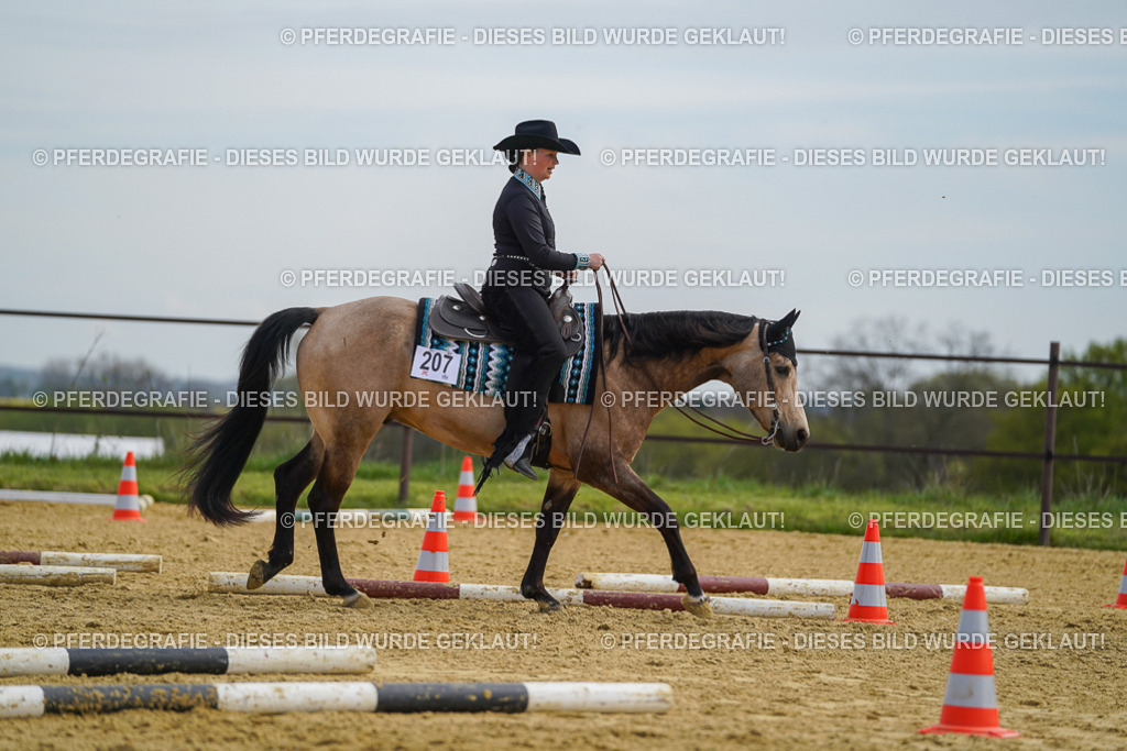 DSC03813 | Pferdegrafie