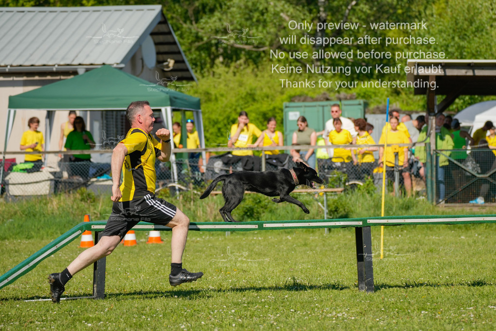 Sa_CSC-262 | stephaniefillaphotographie - Realisiert mit Pictrs.com