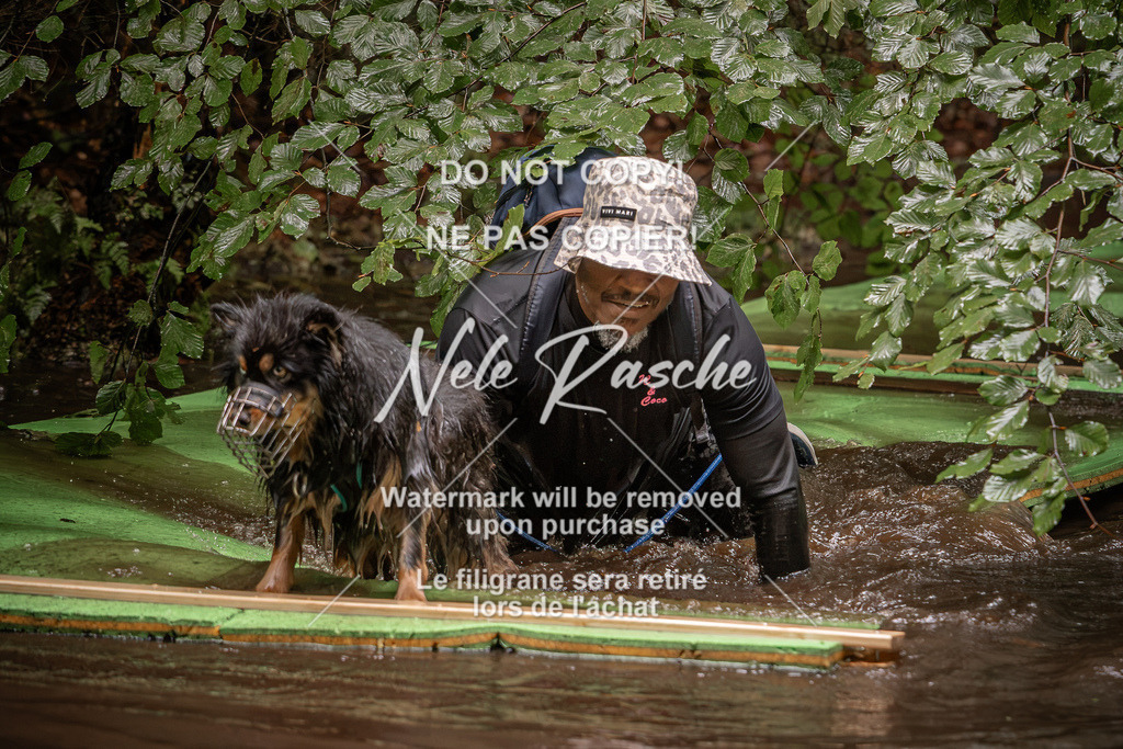 nelerasche_Wingst_Sa1330-1400_97 | nelerasche