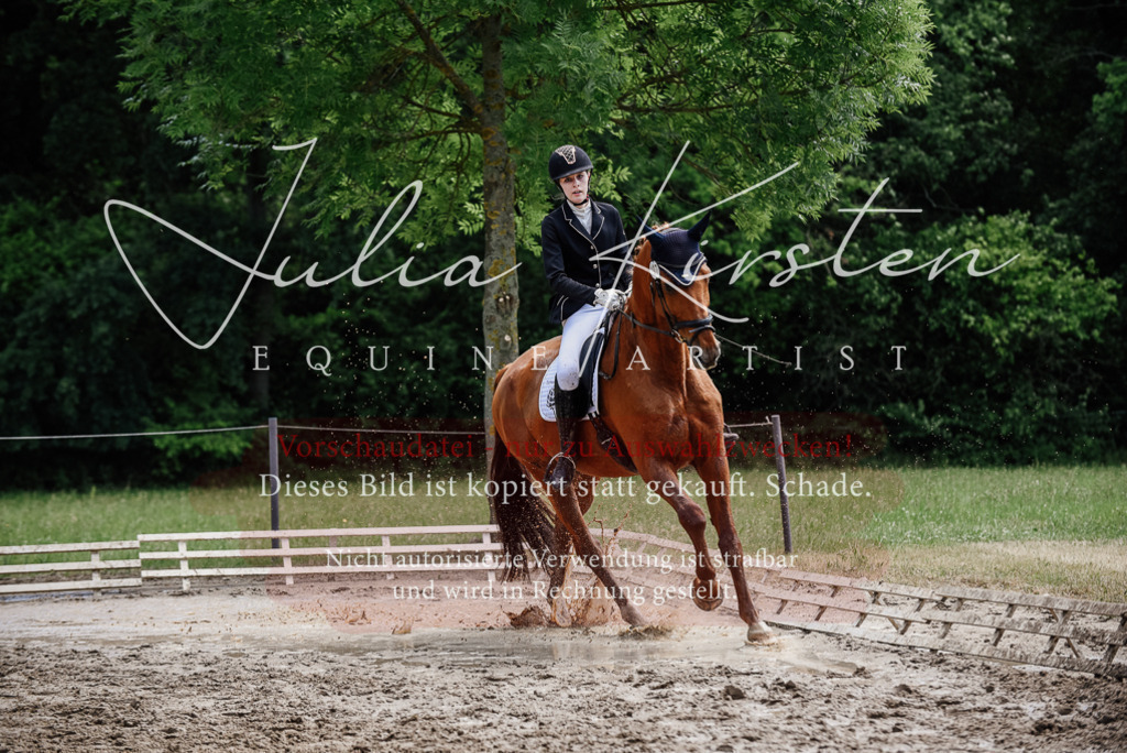 DSC_1602 | Pferde- und Turnierfotografie in Westsachsen. Pferdeportraits, Auftragszeichnungen und intuitive Kunst.