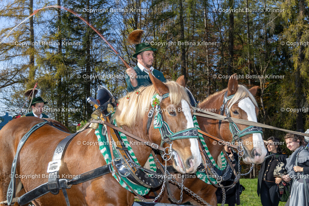 LBT24-1236 | foto-bettina-krinner - Realisiert mit Pictrs.com