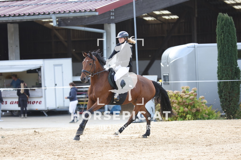 0P6A9609 | Willkommen bei Brunnmayr - Design & Fotografie – Ihrem Spezialisten für Reitturniere und Pferdeveranstaltungen in Oberösterreich, Salzburg und Bayern! Seit über 17 Jahren sind wir leidenschaftlich dabei.