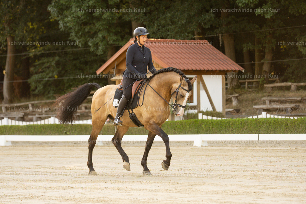 WA_DR_93_SinaFilmArt_IN09895 | working equitationturnier fotograf videograf stoibphotography marixx film working equitation deutschland reitsport turnierfotografie eventfotografie equestrian events