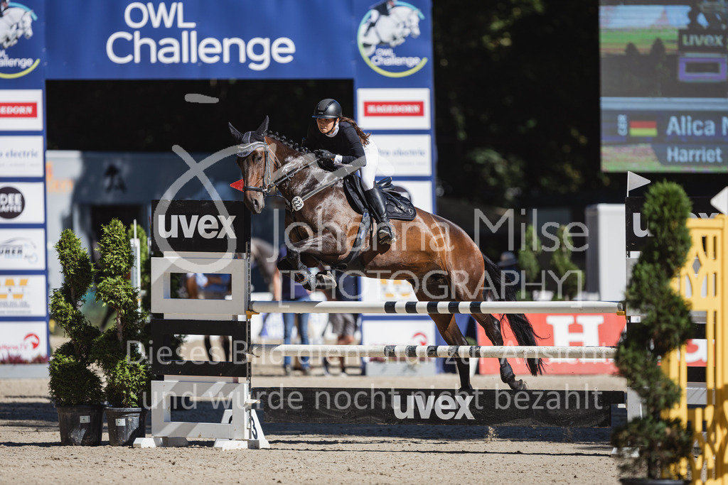 230907_OWLCh_SpringpferdeM-100 | Deine schönsten Turniermomente als professionelle Fotos! Entdecke hochwertige Pferdesport-Fotografie im Online-Shop. Jetzt Fotos finden & bestellen!