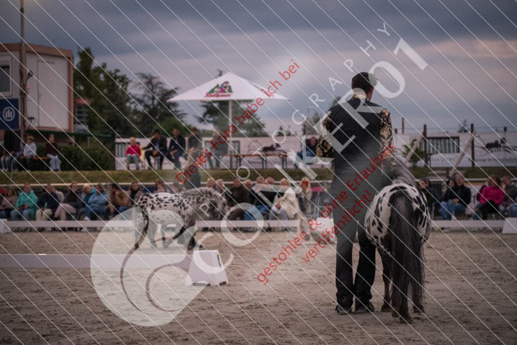 DSC_0168 | Sport-, Event- und Tierfotos in Profiqualität. Einfach auswählen, bestellen und herunterladen. Dein Moment – perfekt festgehalten.