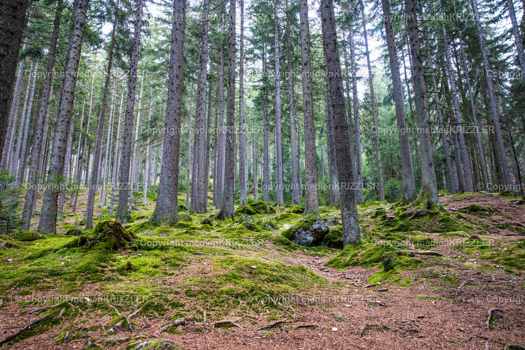 _J3A9088 | medienkrizzler - Realisiert mit Pictrs.com