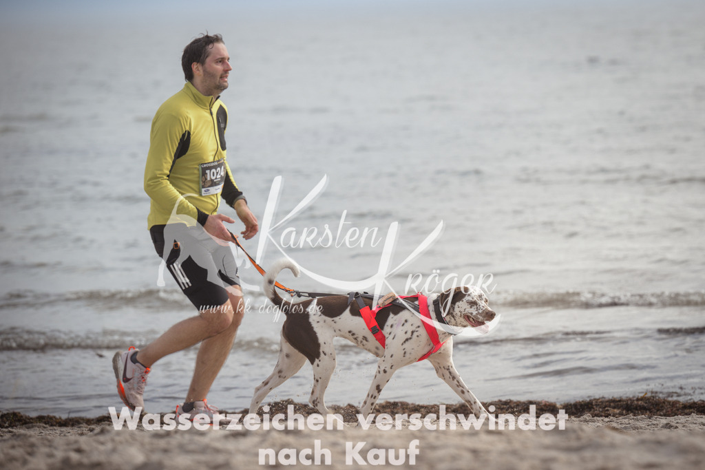 1201_ZZ93522 | kk-dogfotos