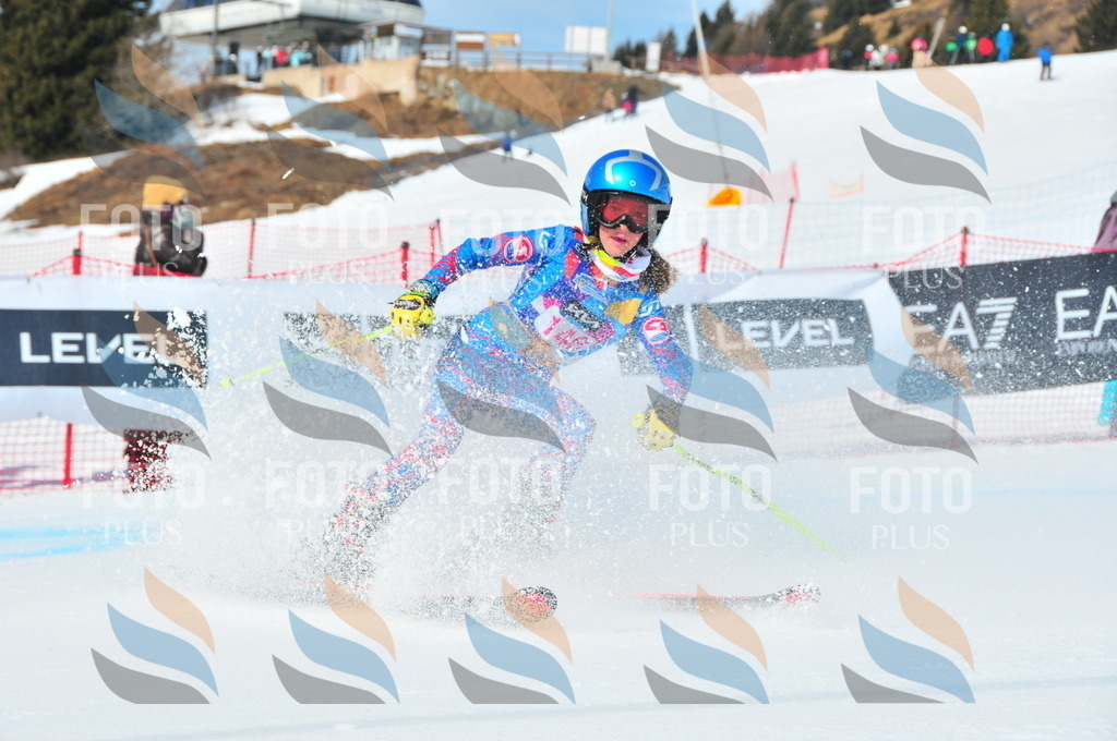 DSC_5044 | holidayphoto