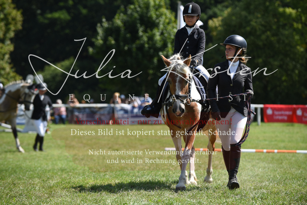 DSC_9852 | Pferde- und Turnierfotografie in Westsachsen. Pferdeportraits, Auftragszeichnungen und intuitive Kunst.