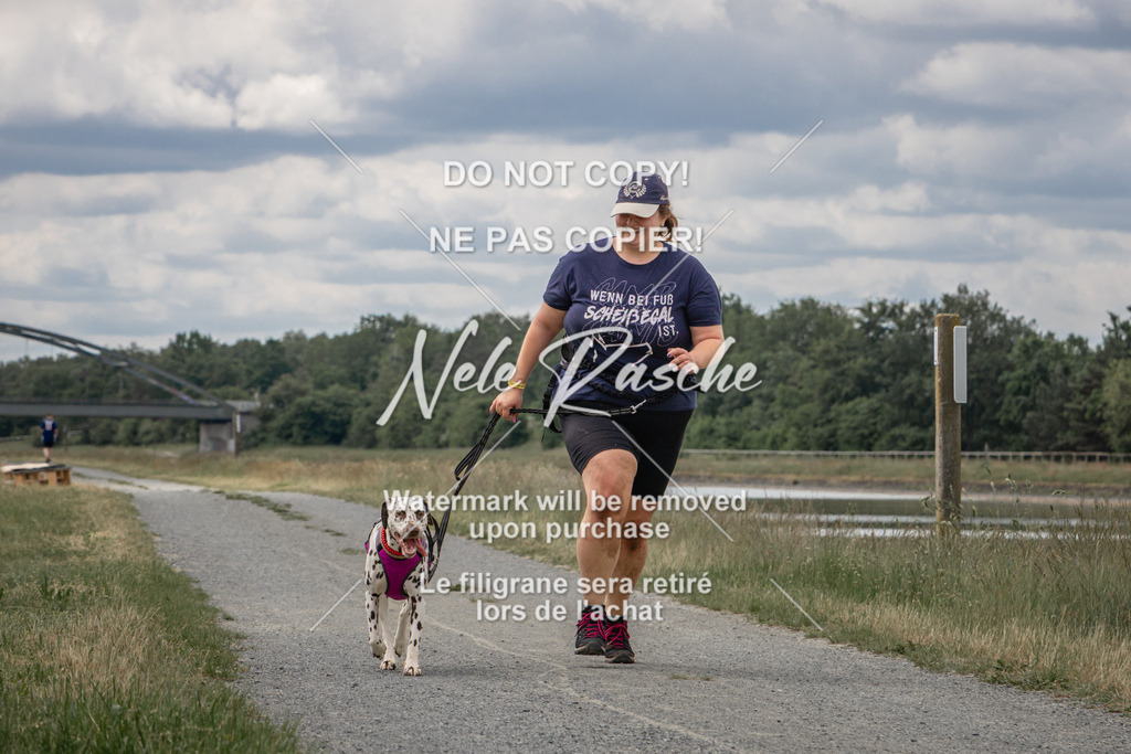 nelerasche_BuHu2026_SaCC1100-1200_268 | nelerasche