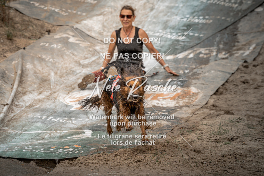 nelerasche_sa1300-1345_182 | nelerasche