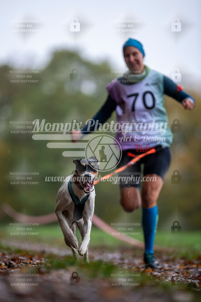 DBT_DAKM_SA_4_11_2023_Canicross-105 | PayLife
