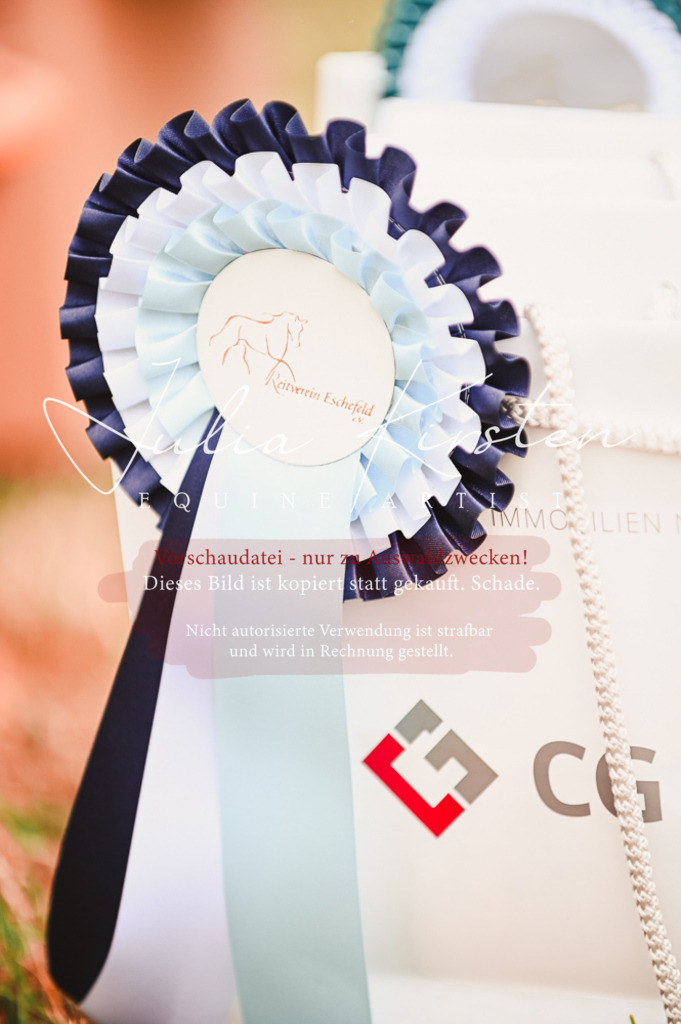 DSC_5388 | Pferde- und Turnierfotografie in Westsachsen. Pferdeportraits, Auftragszeichnungen und intuitive Kunst.