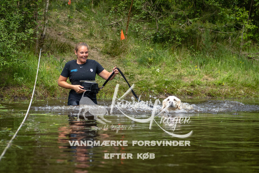 1116DKK994626 | kk-dogfotos