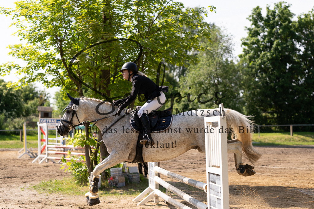 A7507296 | Turnier/Reitfotograf
