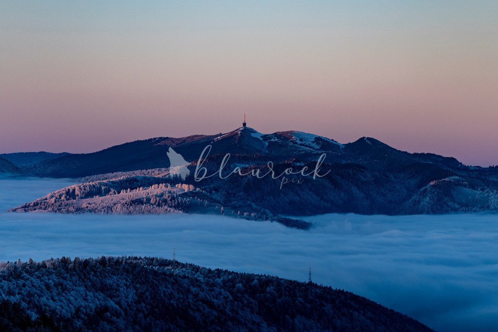 _01A7653 | Sportbilder, Sportfotograf, Hochzeits- und Eventfotografin, Flugshows, Portraits und Tiershooting, Aviation, Downhill, Nationalleague, Swissleague, International