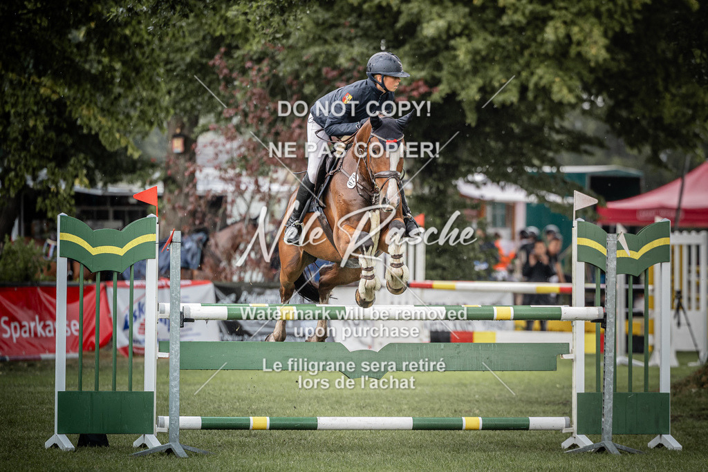 nelerasche_SprL110Ede_04 | nelerasche