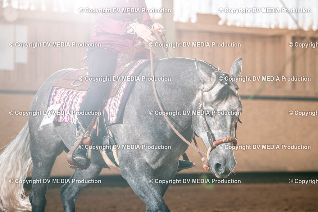 Balingen Tag 2-528 | dv-media-shop - Realisiert mit Pictrs.com