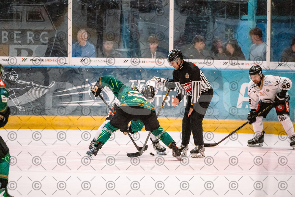 Alligators_vs_Erfurt_06_09_2026-35 | Die Fotogalerie von Daddel: professionelle Bilder von Sport, Events und Unternehmen aus Franken. Jetzt Galerien durchstöbern und Lieblingsfotos bestellen. - Realisiert mit Pictrs.com