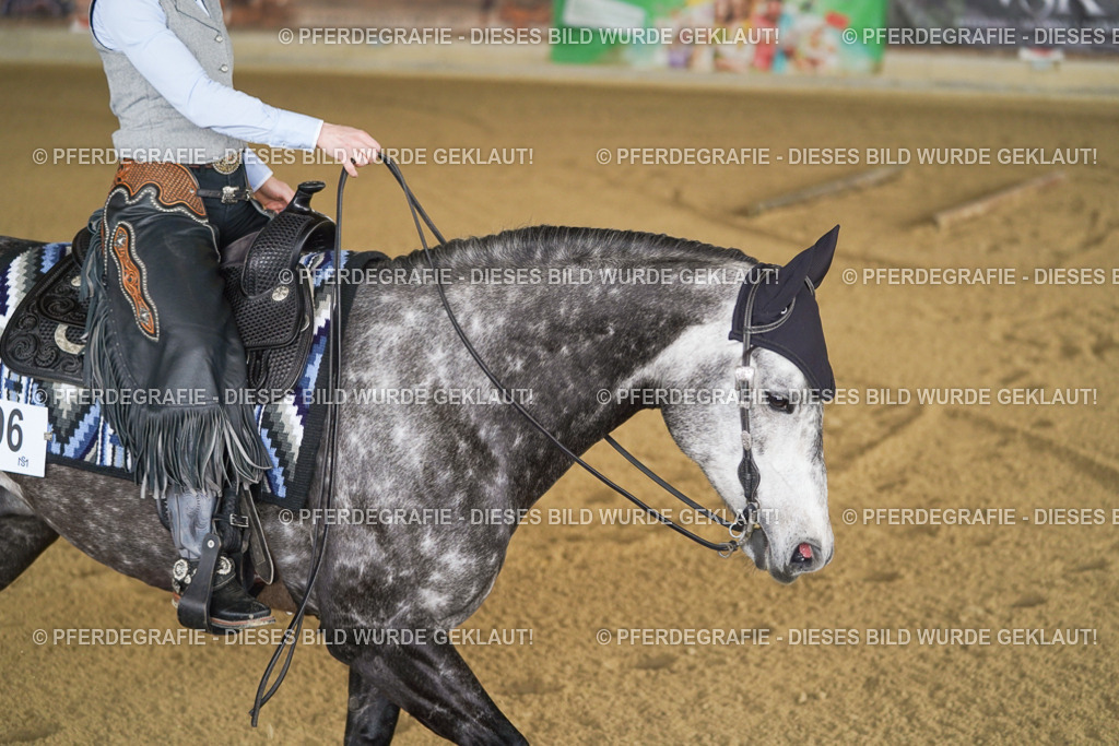 DSC03682 | Pferdegrafie