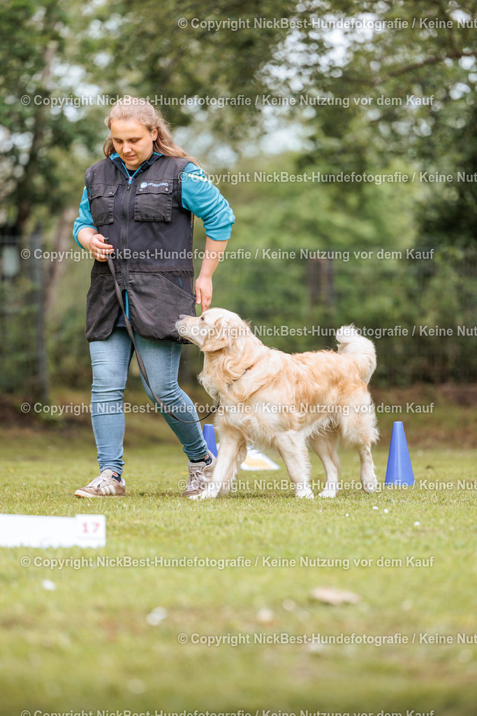 RO-Blumenthal-2026-Nickbest-Hundefotografie-3073 | Dein Hund! Dein Moment! Deine Erinnerungen! Hundefotografie in Bremen Blumenthal. Ich fange die besonderen Momente deines Vierbeiners ein – ob Indoor mit Blitzanlage oder in der freien Natur. Sicher dir dein Moment und dein Termin für eure Erinnerungen.