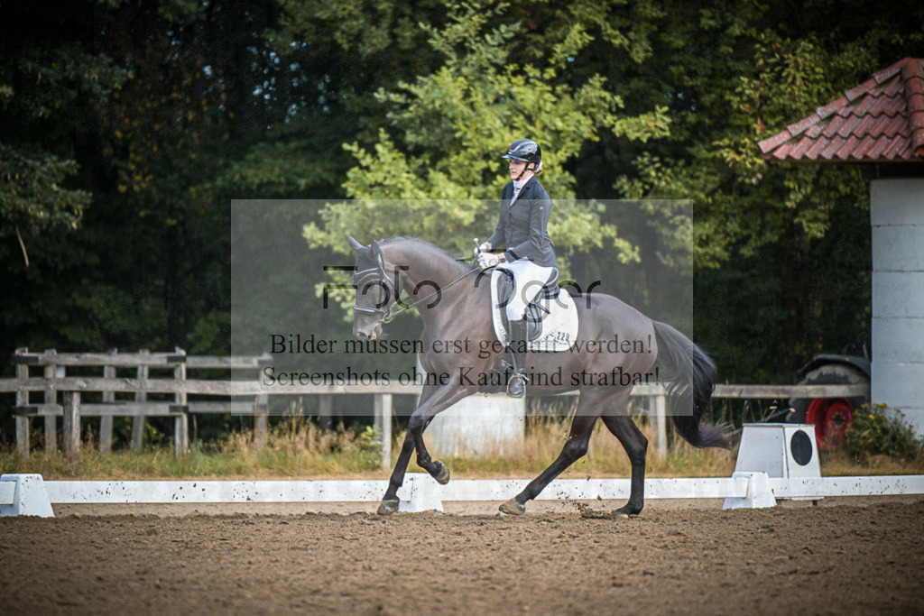 DOS_1349 | Entdecke hochwertige Reitturnierfotos von Foto Oger. Professionell, emotional und authentisch – jetzt Lieblingsmomente im Shop bestellen.Deutschlandweite Turnierfotografie. - Realisiert mit Pictrs.com