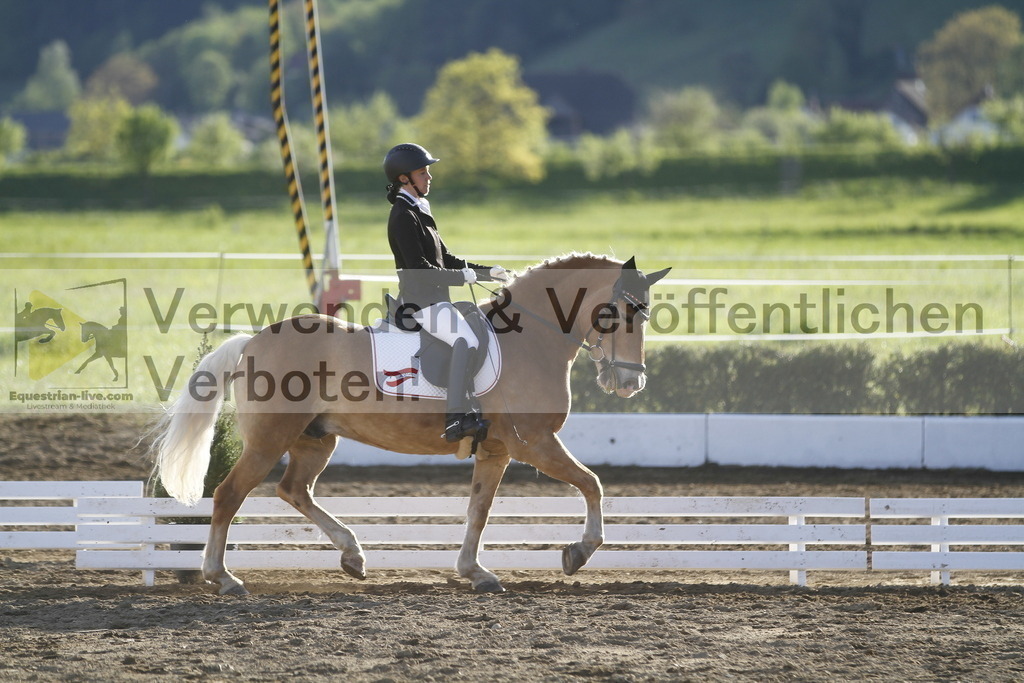 _MG_4370 | equestrian-live-com