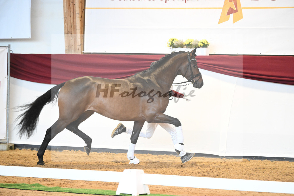 Kat-Nr. 38 v. Jovian_Limbecker_66220491 | hf-fotografie - Realisiert mit Pictrs.com