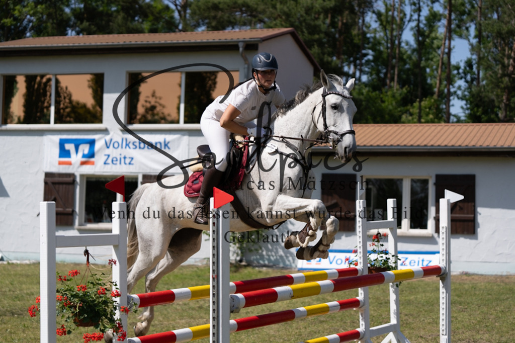 A7V06441 | Pferdefotograf