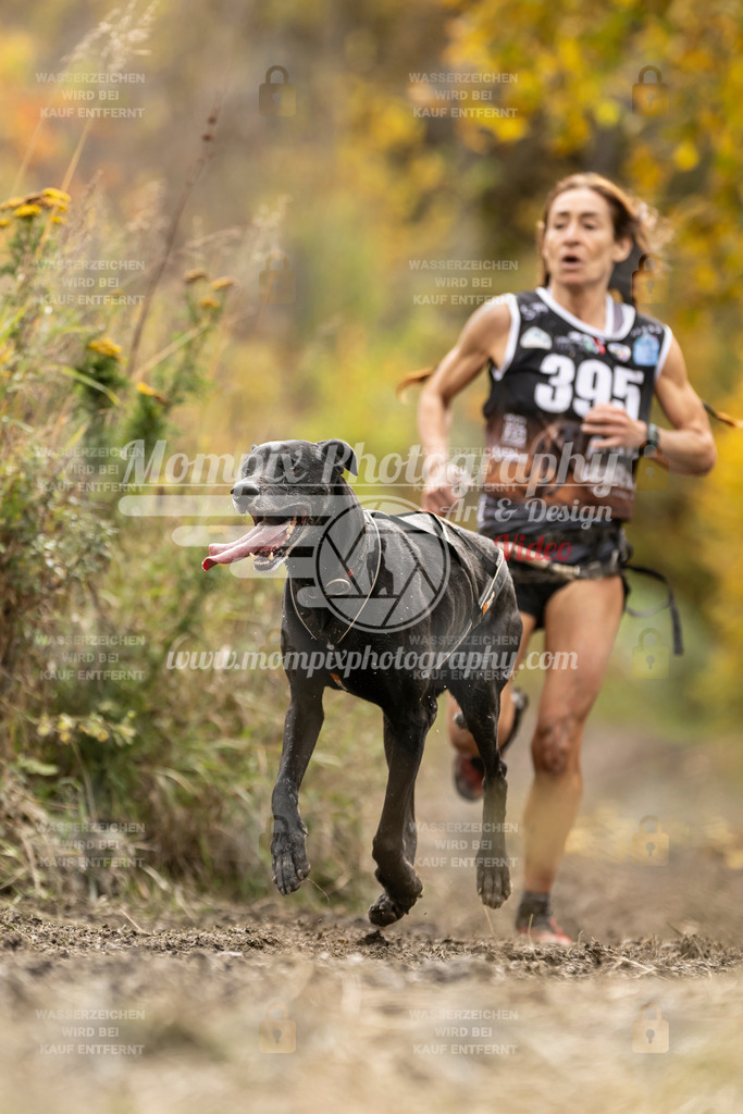 MompixPhotography_ICF_WC_2024_SA_Run_-351 | PayLife