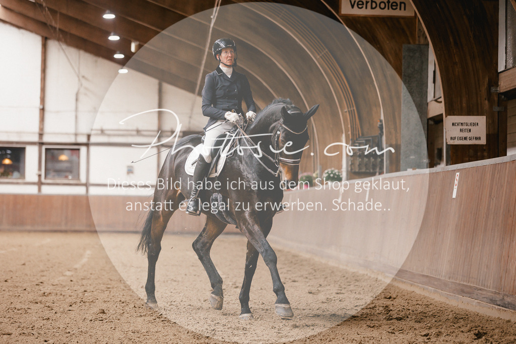 3I6A8250 | Stimmungsvolle Portraits und Reitsportfotografie im Ruhrgebiet und im Münsterland.

Pferdefotografie, Hundefotografie, Tierfotografie, Reportagen, Portraits von Tier und Mensch, Turnierfotografie in Bochum, Recklinghausen, Marl, Haltern am See, Dülmen.. - Realisiert mit Pictrs.com