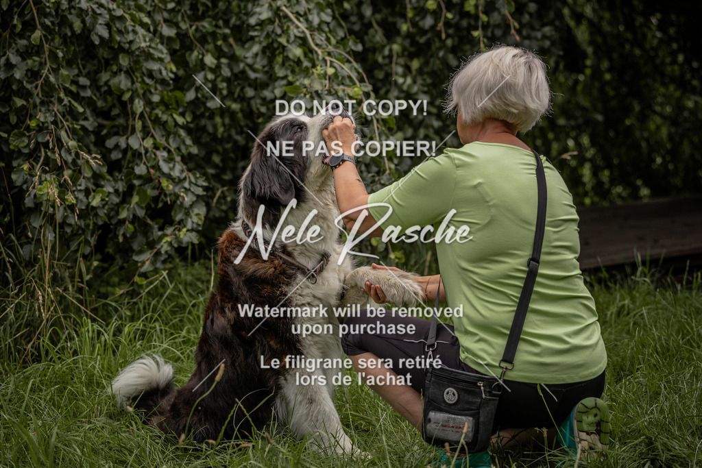 nelerasche_DoN_98 | nelerasche