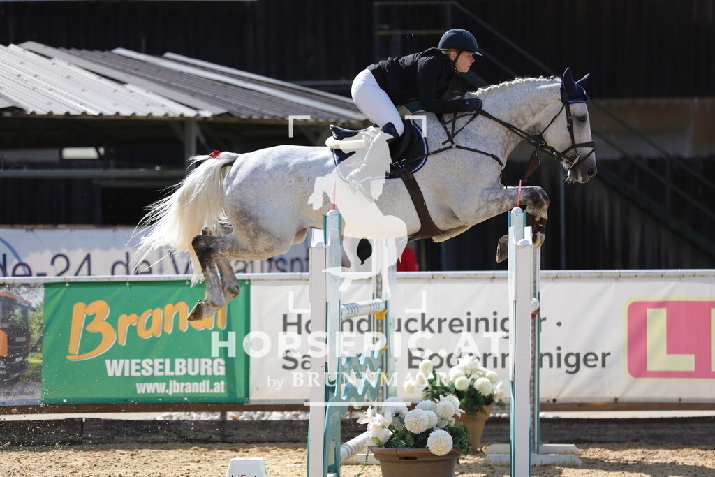 0P6A5494 | Willkommen bei Brunnmayr - Design & Fotografie – Ihrem Spezialisten für Reitturniere und Pferdeveranstaltungen in Oberösterreich, Salzburg und Bayern! Seit über 17 Jahren sind wir leidenschaftlich dabei.