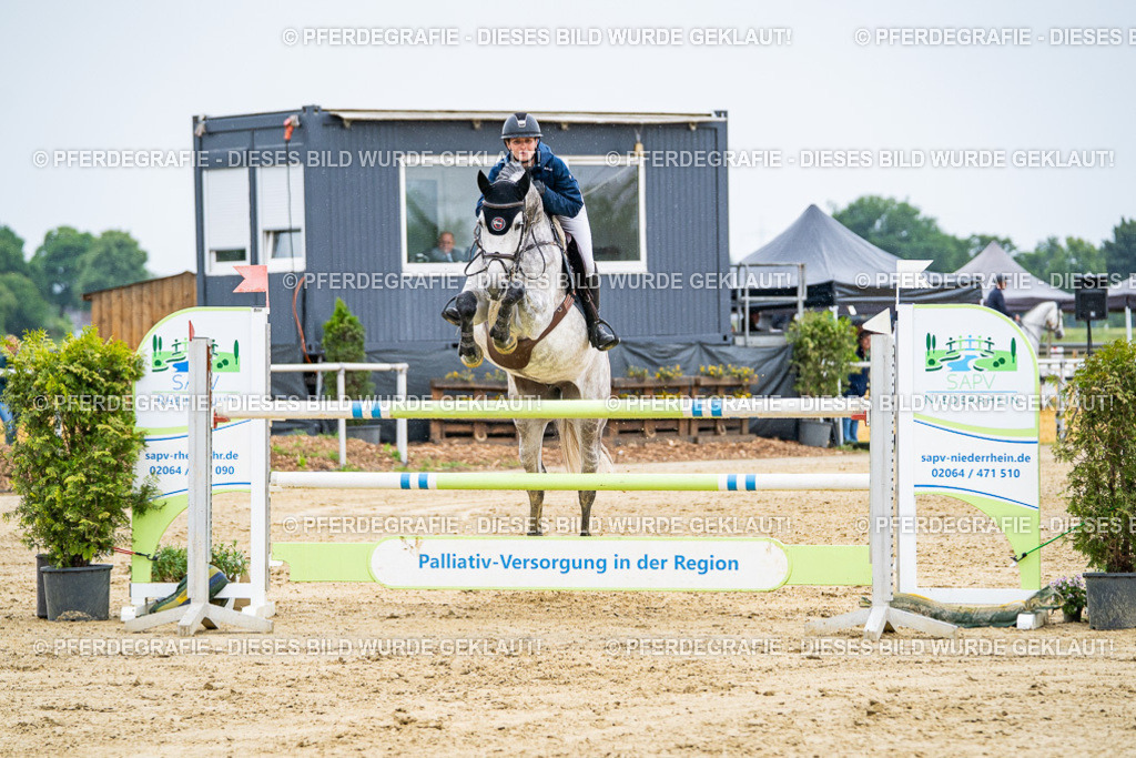 DSC08186 | Pferdegrafie