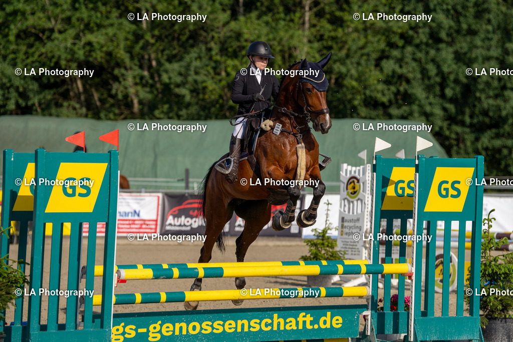 DSC04079 | Entdecke einzigartige Turnierfotos und persönliche Pferde- und Hundeportraits bei LA Photography. Für jeden Reiter und Pferd das perfekte Bild! Stöbere jetzt! - Realisiert mit Pictrs.com