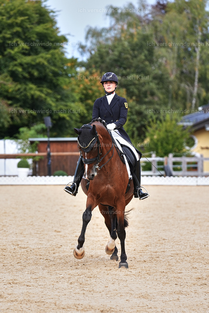 11-003-Dressur S___-Marixx-1722 | working equitationturnier fotograf videograf stoibphotography marixx film working equitation deutschland reitsport turnierfotografie eventfotografie equestrian events