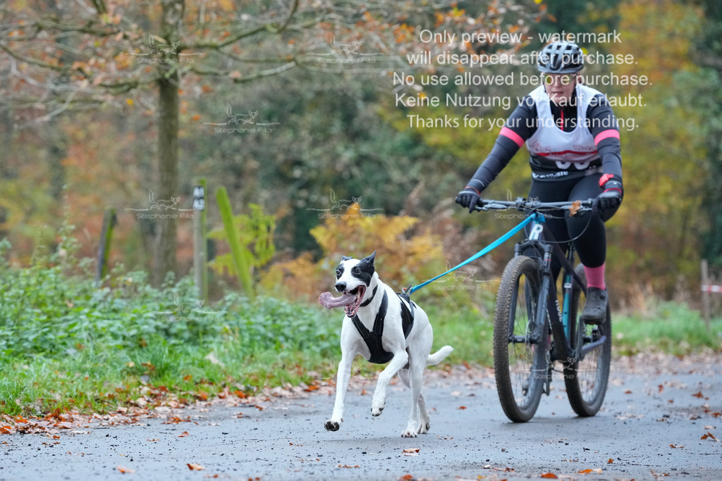 Bike_So-74 | stephaniefillaphotographie - Realisiert mit Pictrs.com