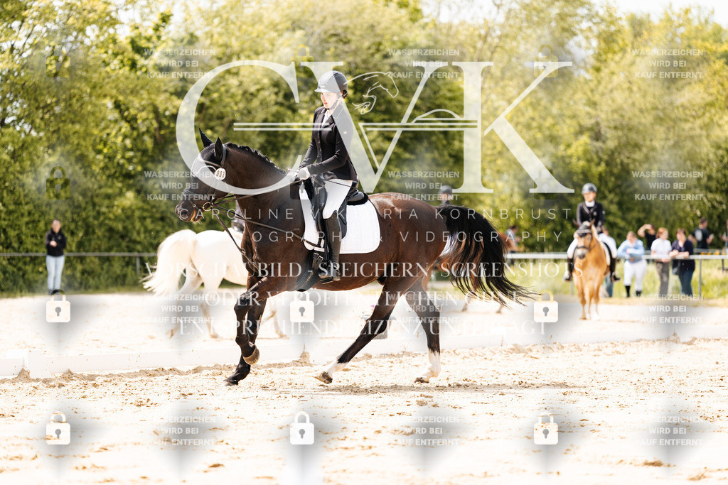 CK902082 | Turnierfotografie Pferdefotografie Trier Rheinland-Pfalz Pferdesport Reitsport Tierfotografie Sportfotografie Pferdevideo Pferdevideografie Equestrianvideography equestrianphotography  - Realisiert mit Pictrs.com