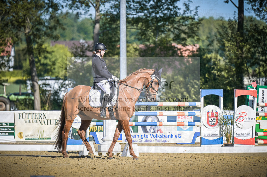DOS_5399 | Entdecke hochwertige Reitturnierfotos von Foto Oger. Professionell, emotional und authentisch – jetzt Lieblingsmomente im Shop bestellen.Deutschlandweite Turnierfotografie. - Realisiert mit Pictrs.com