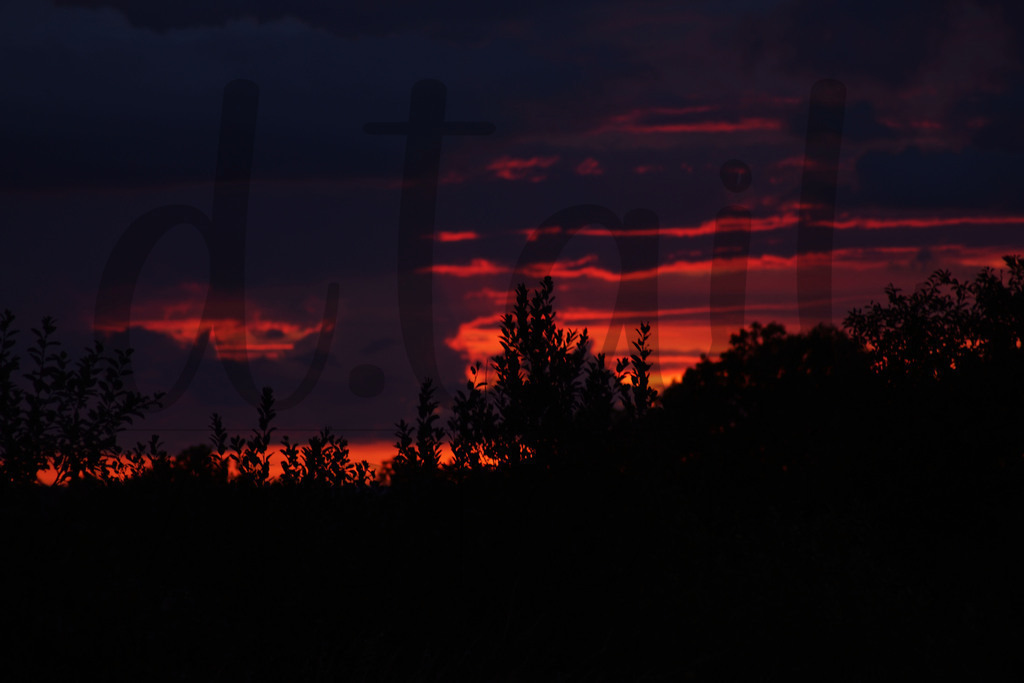 bsonnenuntergang (1) | d.tail Visions - Shop - Realisiert mit Pictrs.com