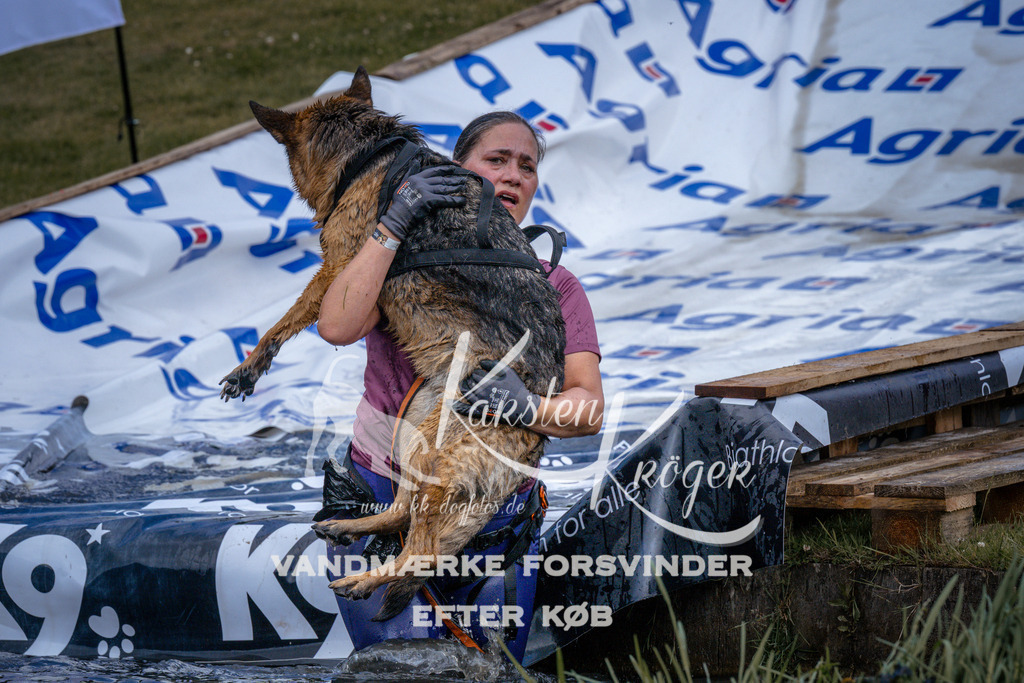 _ZZ914230913 | kk-dogfotos