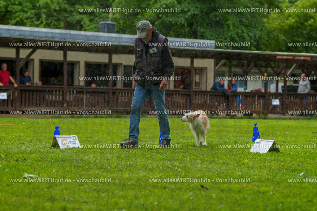 @allesWIRTHgut_Tierfotografie - www.allesWIRTHgut.de - 7R501361 | Professionelle Tierfotografie in Mönchengladbach von Daniel Wirth (allesWIRTHgut). Liebevolle & natürliche Bilder von Hunden & Katzen für unvergessliche Erinnerungen.