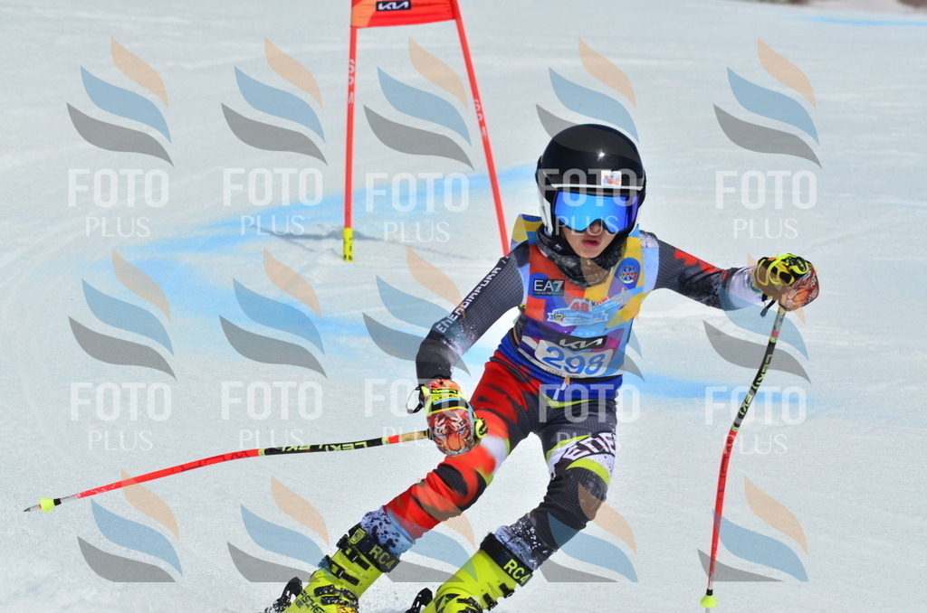 _ELE2160 | holidayphoto