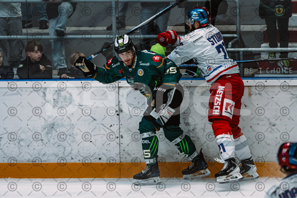 Alligators_vs_Selb_13_09_2026-25 | Die Fotogalerie von Daddel: professionelle Bilder von Sport, Events und Unternehmen aus Franken. Jetzt Galerien durchstöbern und Lieblingsfotos bestellen. - Realisiert mit Pictrs.com
