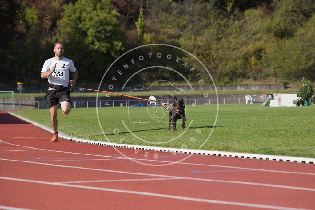 0L8A9864 | Hundefotografie, Tierfotograf, Pfotenfotografie, Fotoshooting Hund, Hunde Portrait, Hundesport, Hundeportraits, Heideshooting, Hunde, Sportfotograf, Hundefotograf, Turnierhundsport, THS,  - Realisiert mit Pictrs.com