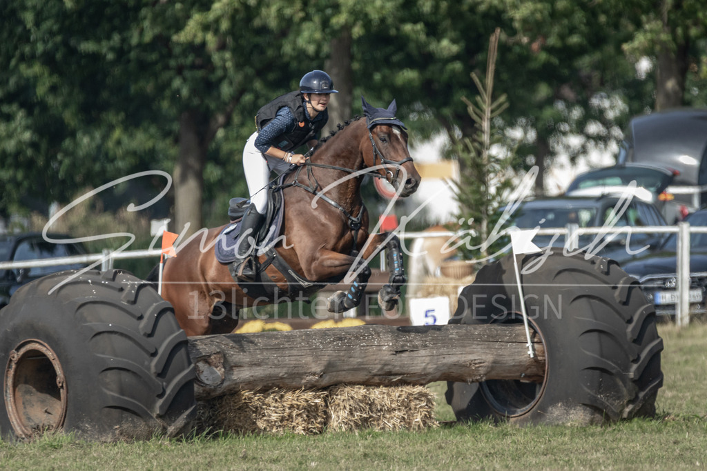 20250907-_3LR7855 | Tierfotografie Pferde, Hunde, Katzen, Haustiere.
Turnierfotografie Reitturniere, Reiten, Springreiten, Dressur in Hanau, dem Main-Kinzig-Kreis und dem Rhein-Main- Gebiet um Frankfurt